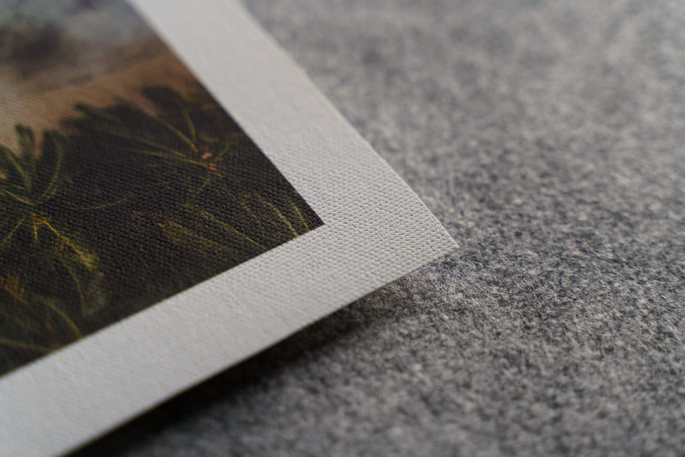 A4 Fine Art Sample Pack
