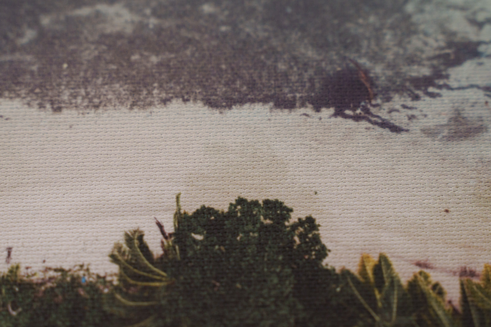 Matte Canvas