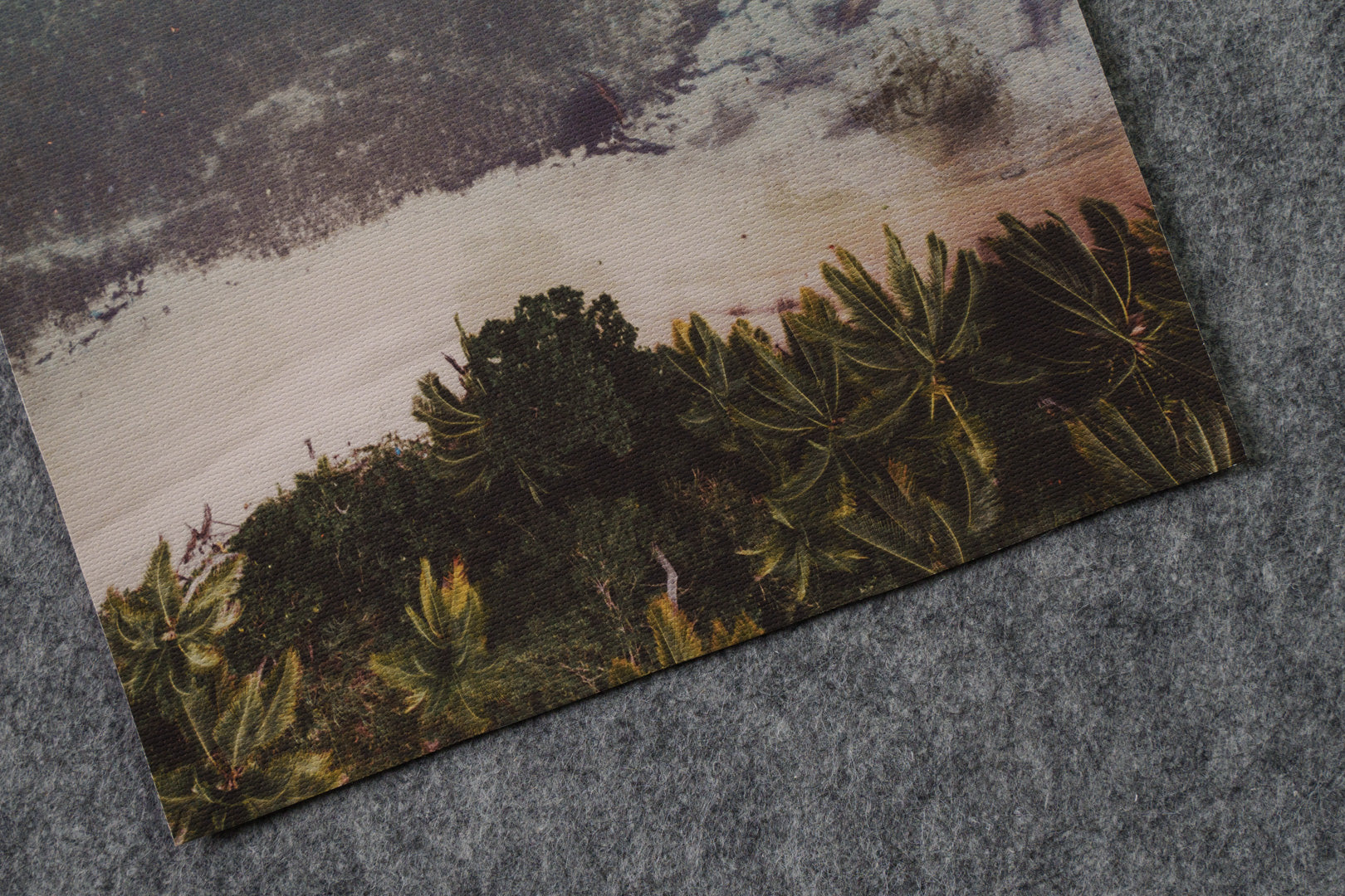 Matte Canvas