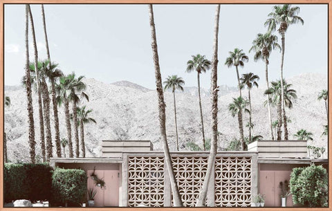 Palm Springs 1