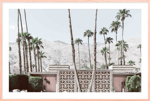 Palm Springs 1