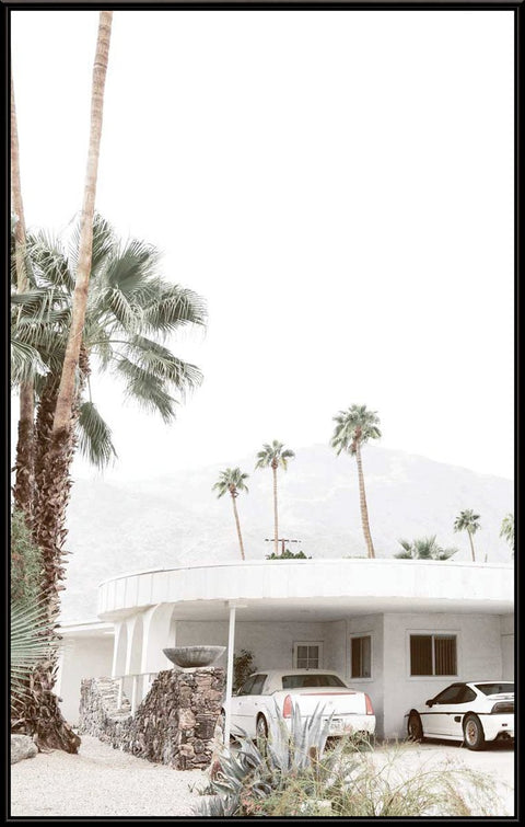 Palm Springs 7