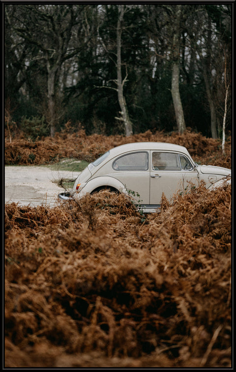 VW Beetle side Autumn