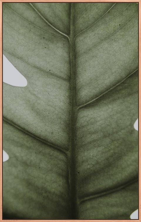 Leaf Flat 1