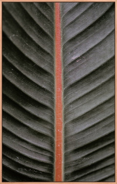 Leaf Flat 4