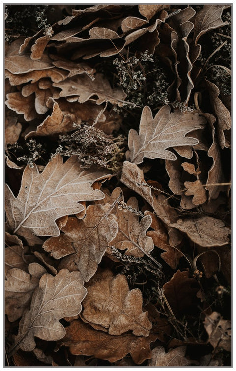 Ground Leaves