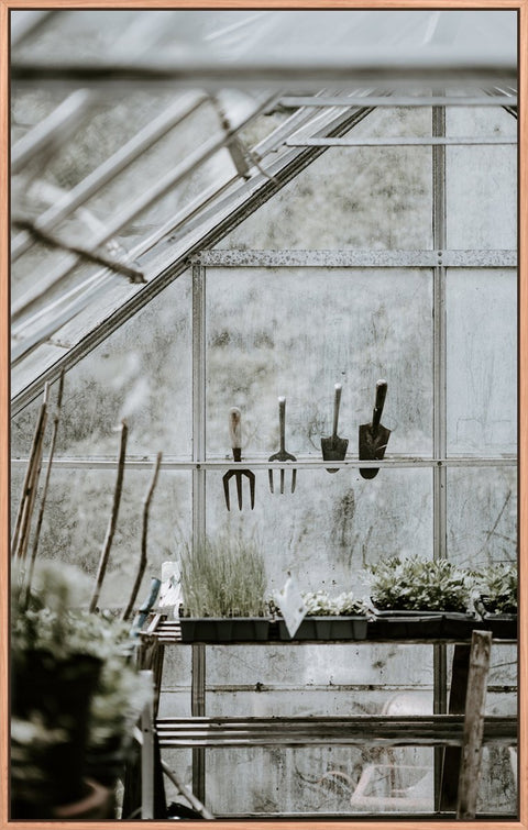 Greenhouse 3