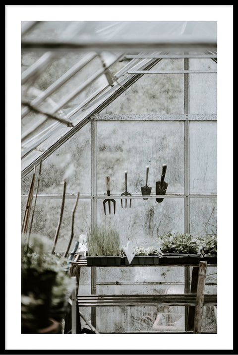 Greenhouse 3