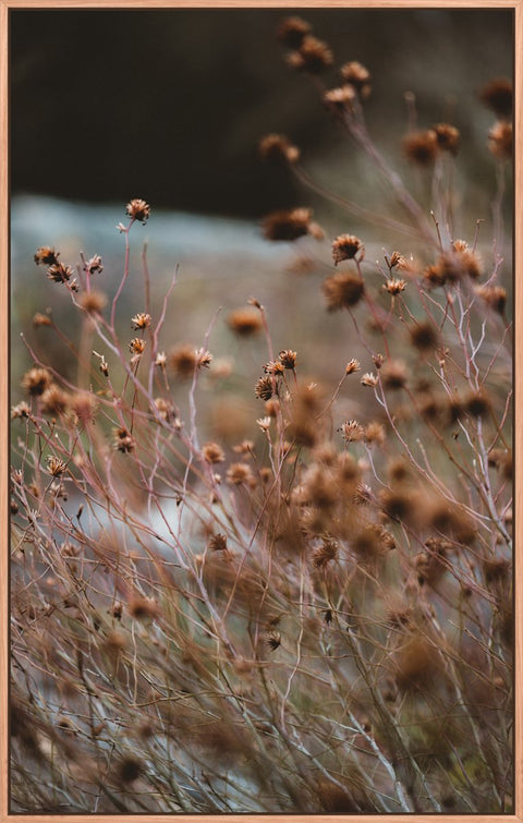 Grass Flowers Rust 1