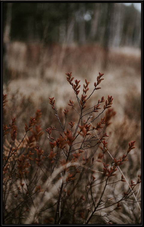 Grass Flowers Rust 2