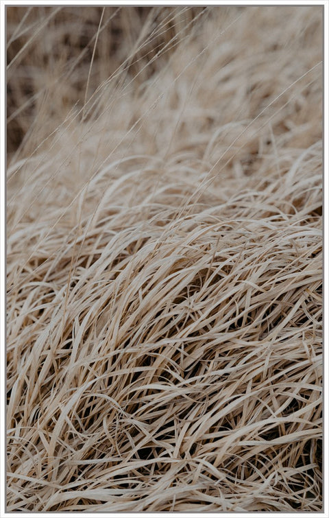 Grass Taupe 4