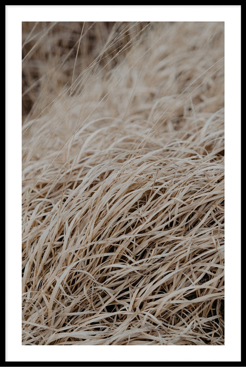 Grass Taupe 4