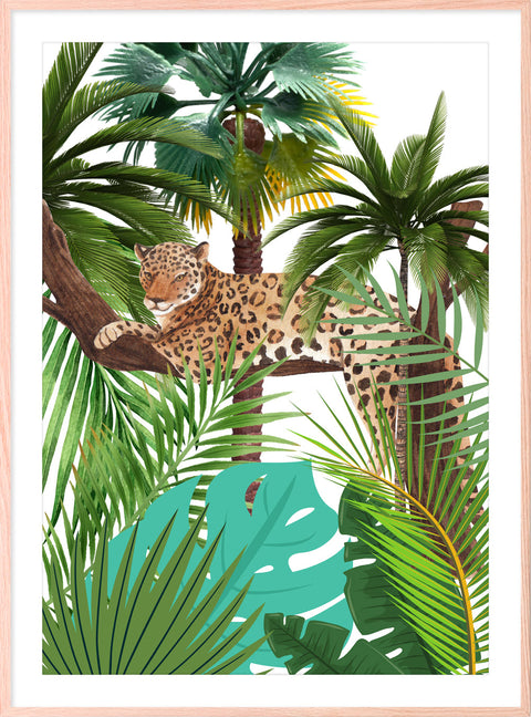 Leopard in Jungle