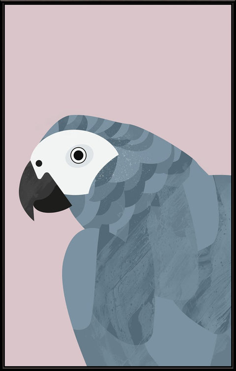 Grey Bird