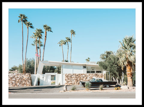 Palm Springs Vibe 1