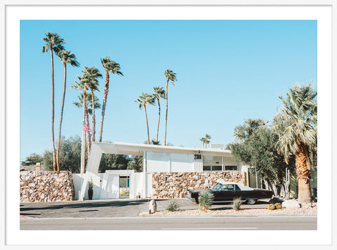 Palm Springs Vibe 1
