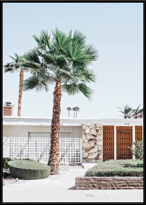 Palm Springs Vibe 3