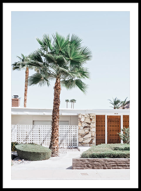 Palm Springs Vibe 3