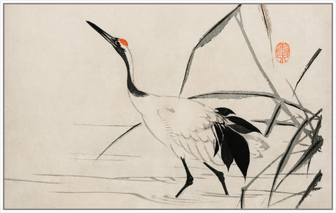 Vintage Crane Illustration