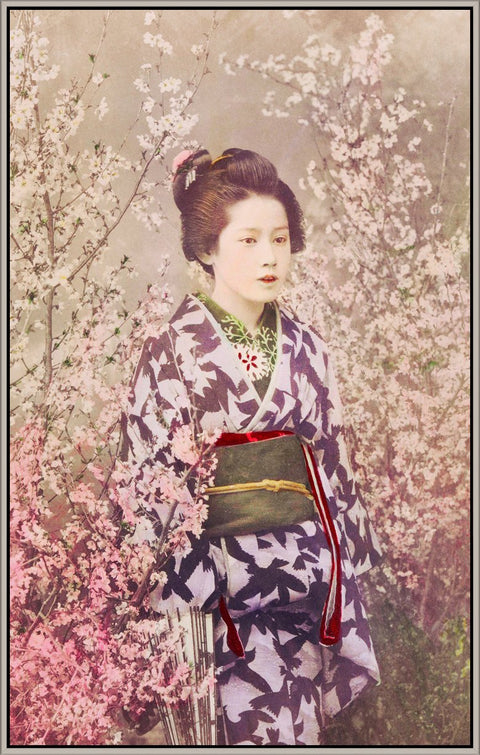 Geisha and Cherry Blossoms