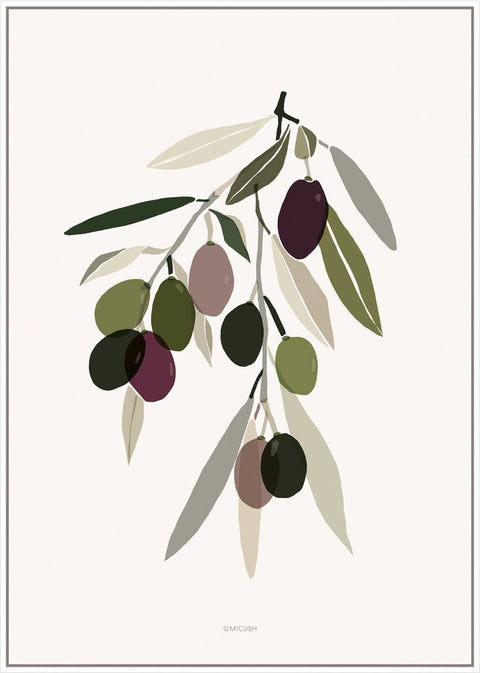 Harvest Olive