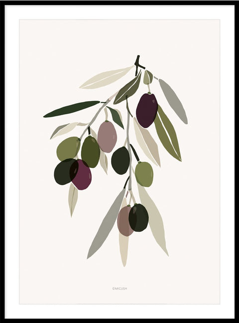 Harvest Olive