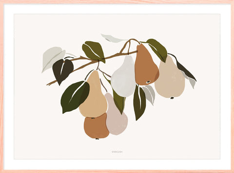 Harvest Pear