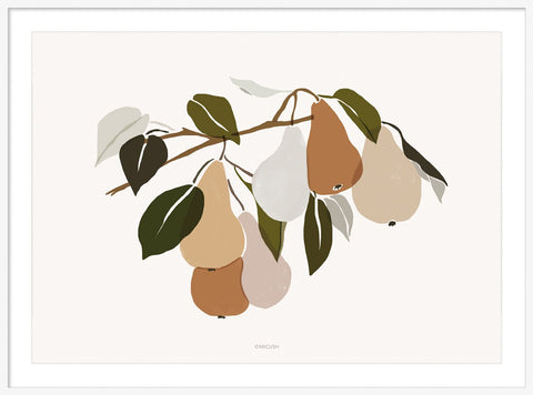 Harvest Pear